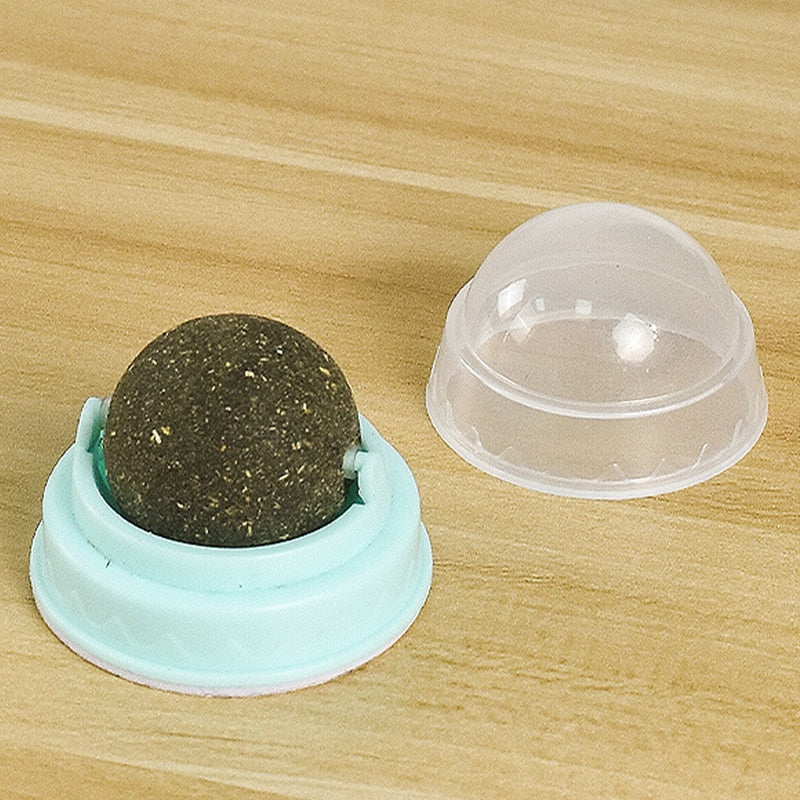 Lambedor Catnip Para Gatos - Melhora na digestão e humor